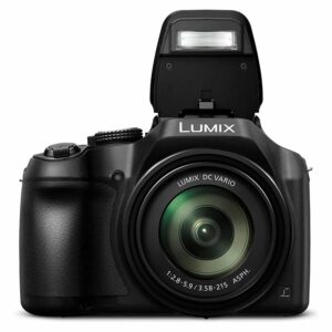 Panasonic Lumix DC-FZ80 18.1 Megapixel Bridge Camera